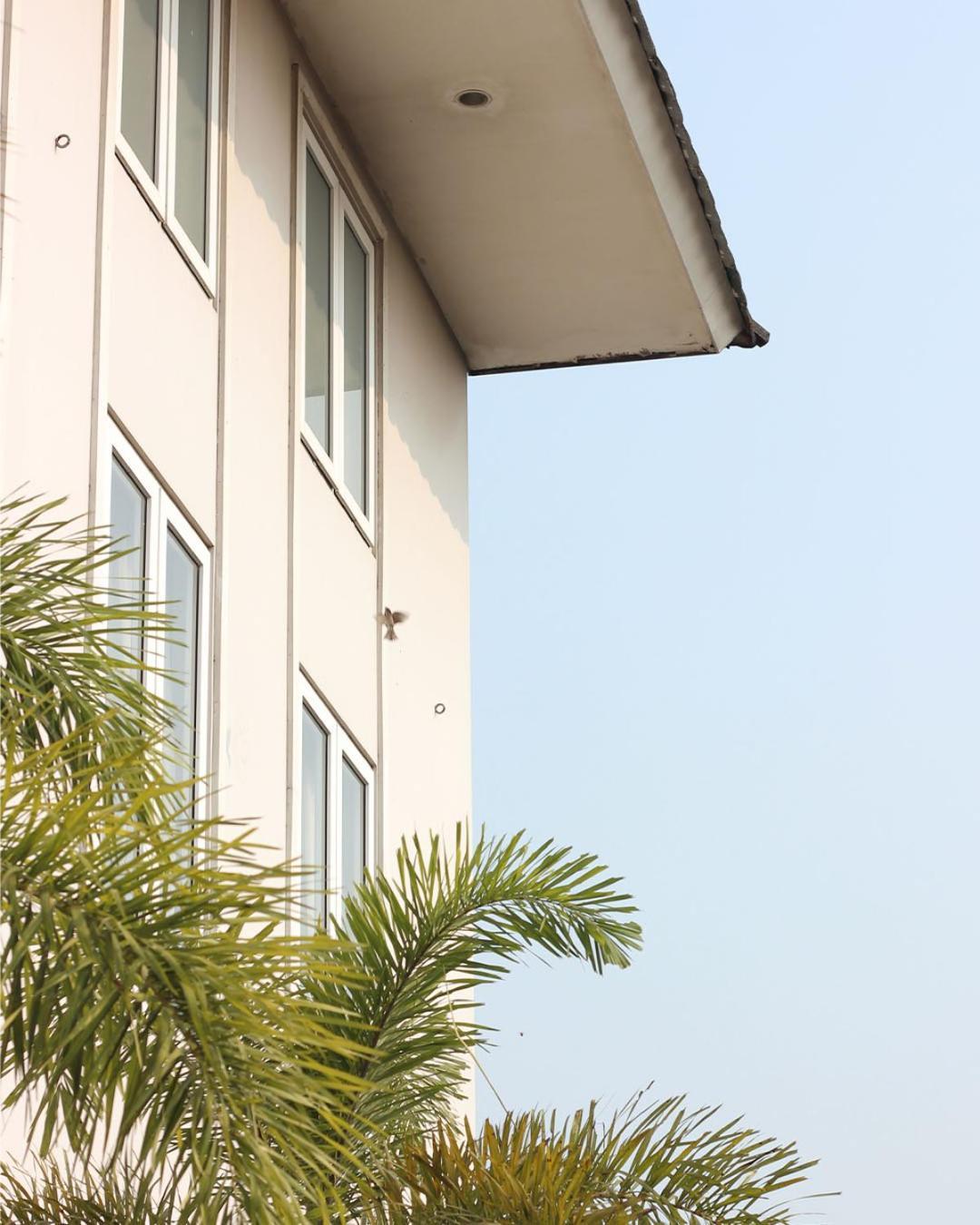 Hotel Bale Ocasa 2*